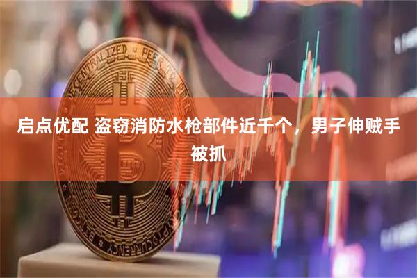 启点优配 盗窃消防水枪部件近千个，男子伸贼手被抓