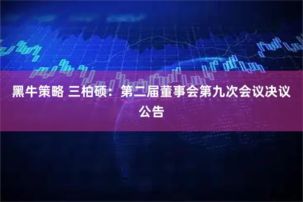 黑牛策略 三柏硕：第二届董事会第九次会议决议公告