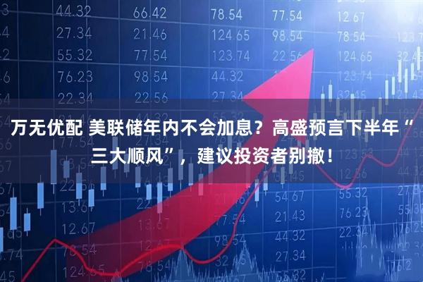 万无优配 美联储年内不会加息？高盛预言下半年“三大顺风”，建议投资者别撤！